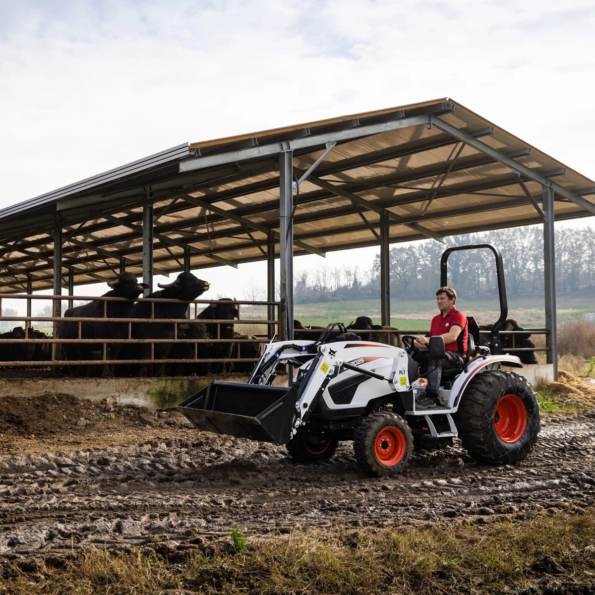 Bobcat CT2025 Compact Tractor